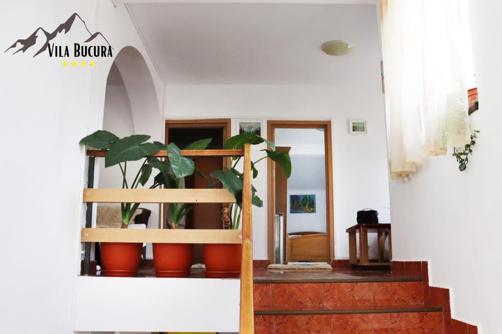 Hotel Bucura Sinaia Zewnętrze zdjęcie