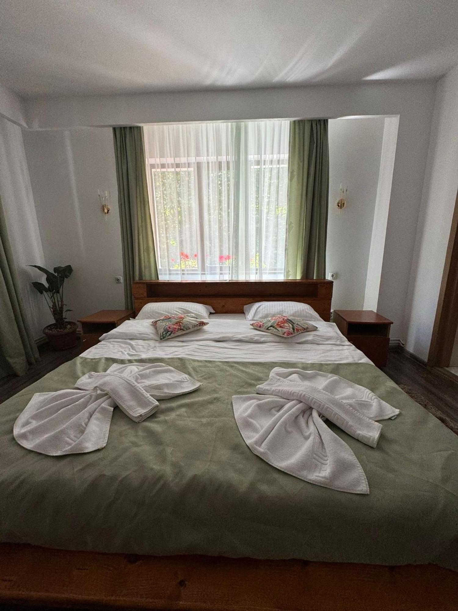 Hotel Bucura Sinaia Zewnętrze zdjęcie